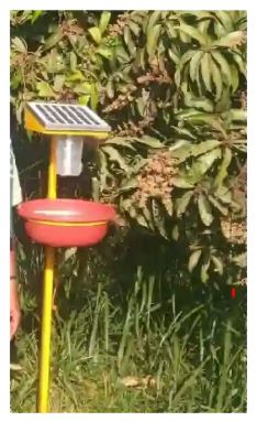 Solar Insect Traps: The Future of Eco-Friendly Pest Control