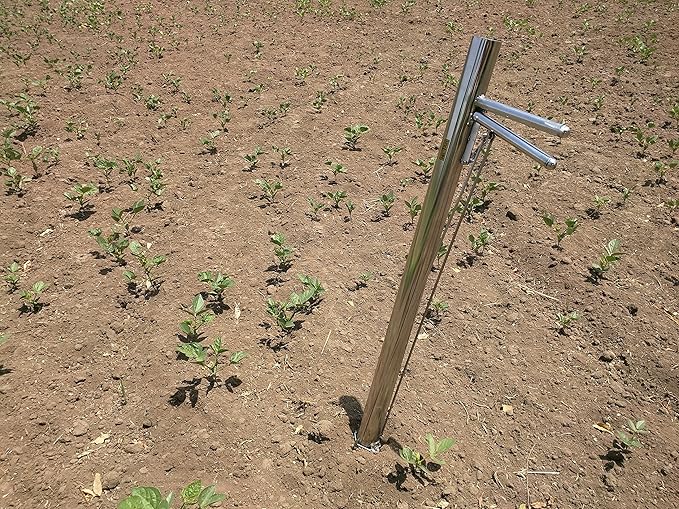 HECTARE Vegetable Transplanter | Flowers and Buds Transplanter | Stainless Steel Material | Outdoor and Garden Planting - Silver