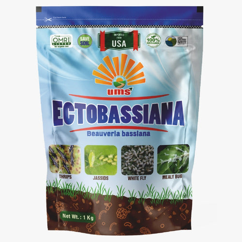 UMS ECTOBASSIANA: Beauveria bassiana