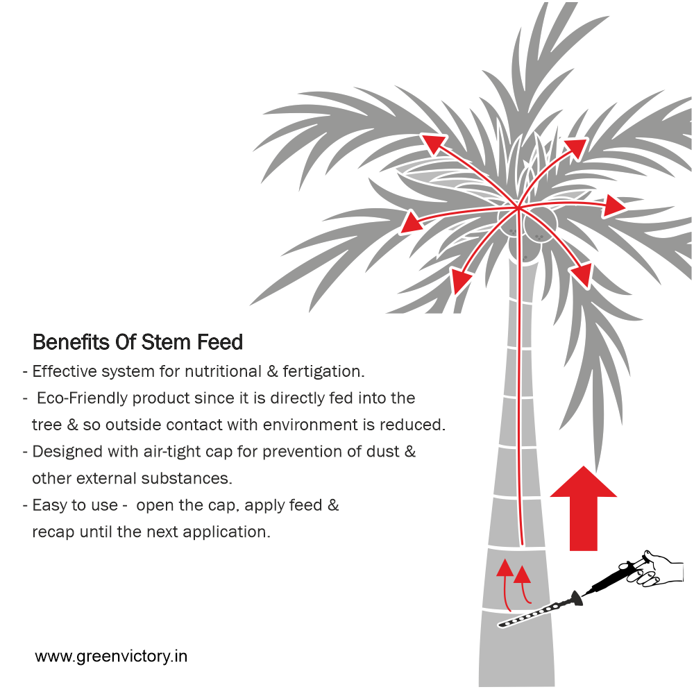 STEM FEED- 5 PSC PACK