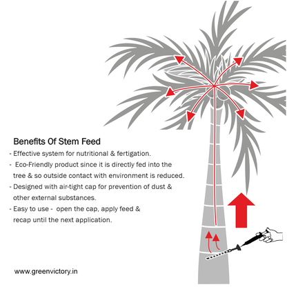 STEM FEED- 5 PSC PACK