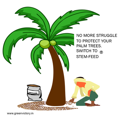 STEM FEED- 5 PSC PACK