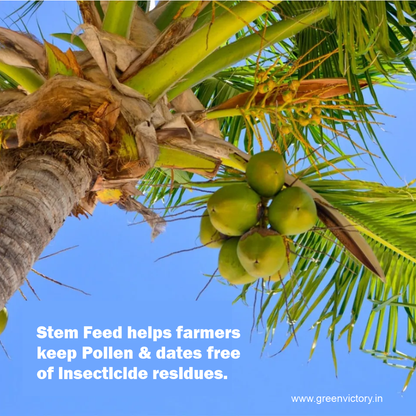STEM FEED- 5 PSC PACK