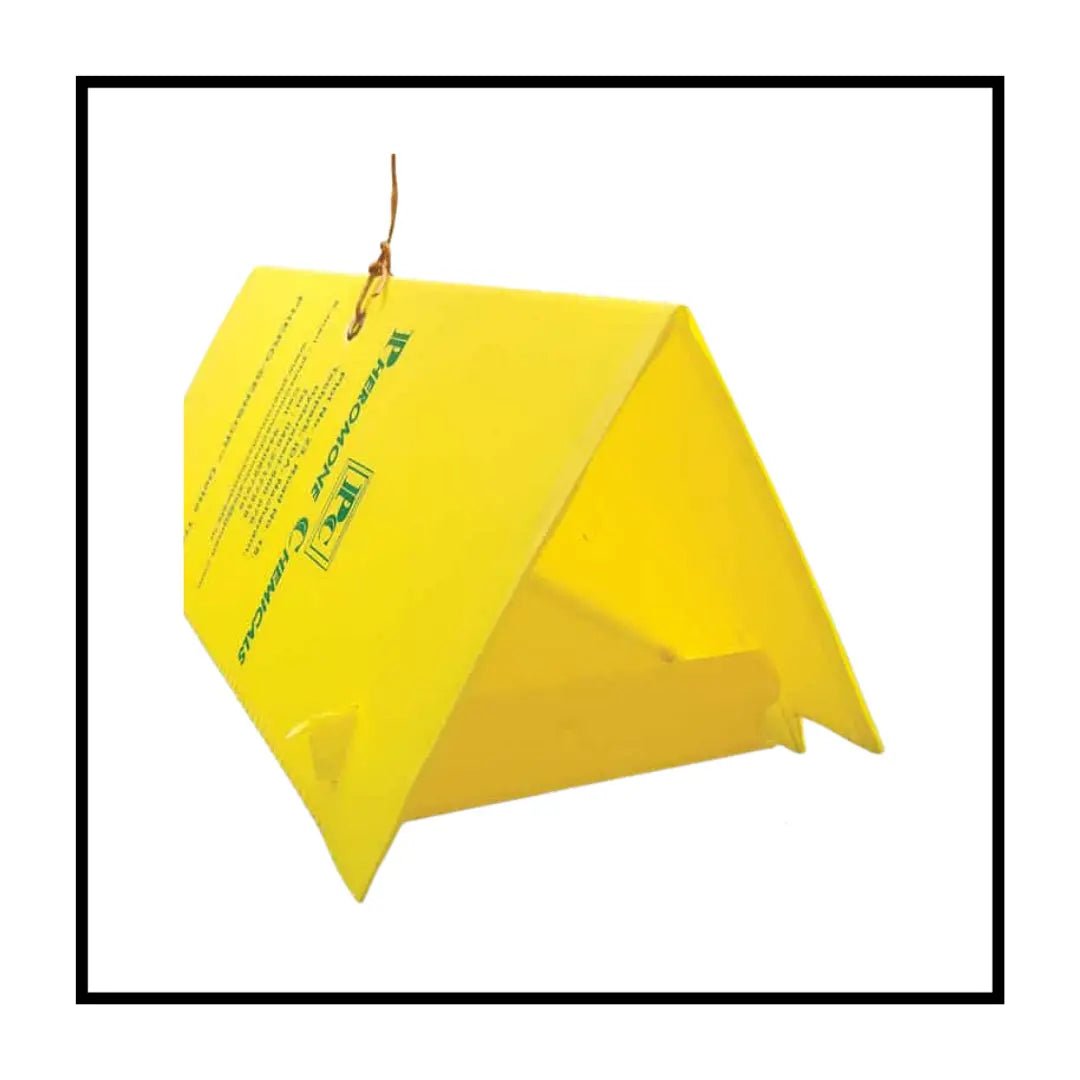 Delta Traps (Pack of 10).