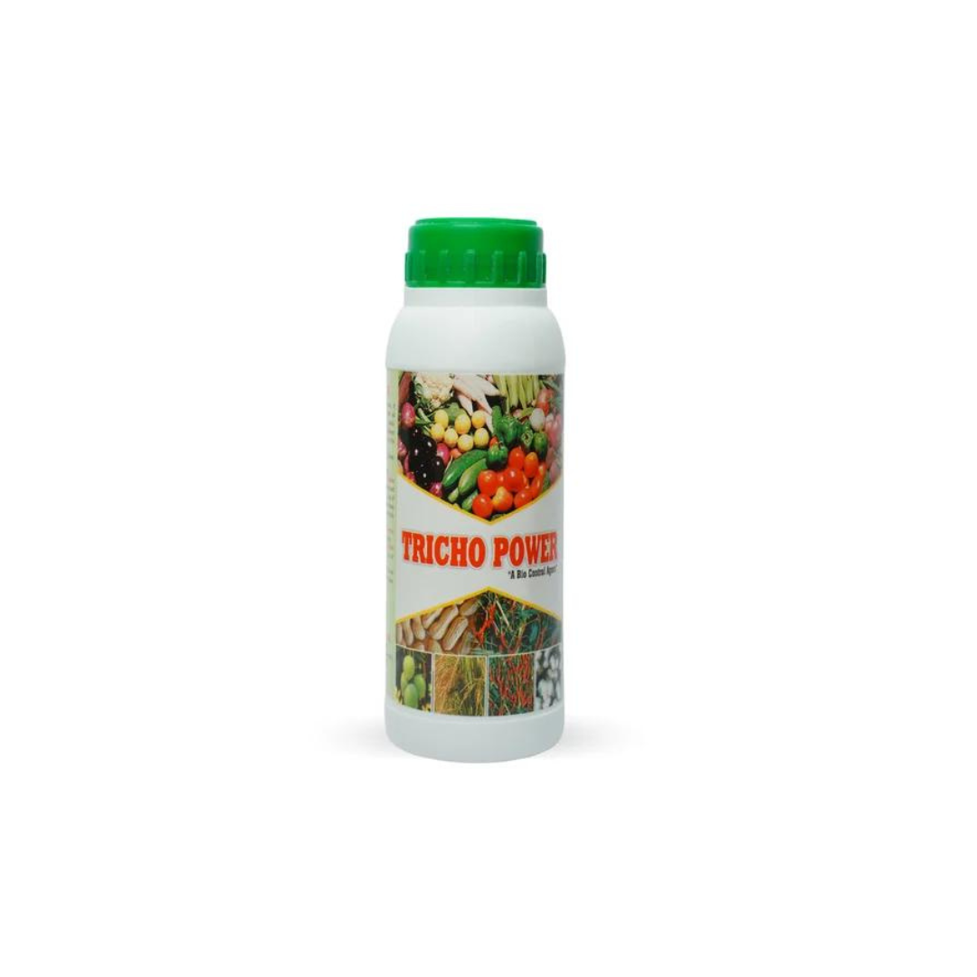 Tricho power (TRICHODERMA VIRIDE)-Protects the root zone of any plant.