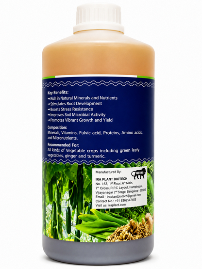 Veggie vibe I IRA PLANT BIOTECH