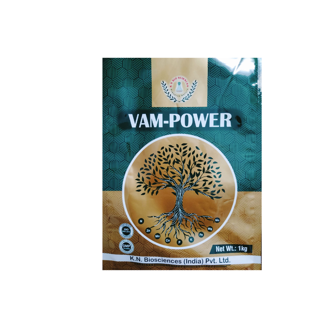 VAM POWER (Vesicular-Arbuscular Mycorrhiza)-Best for overall plant growth - Khethari