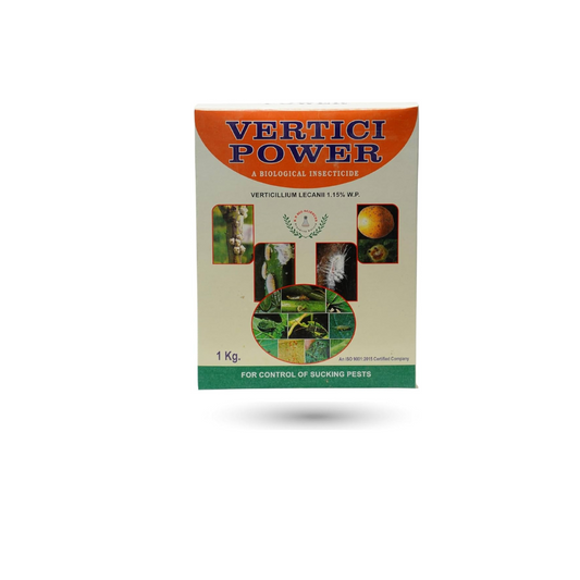 VERTICI POWER (VERTICILLIUM LECANI)-Acts against Mealy bug, Aphids, thrips & mites - Khethari