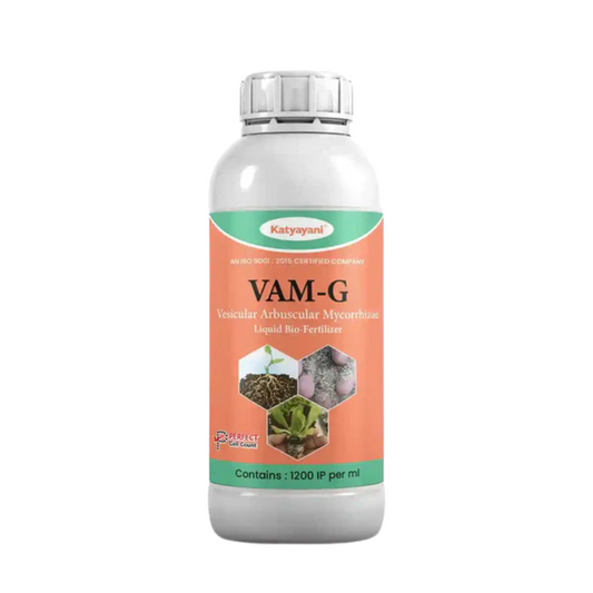 Katyayani VAM-G | Vesicular Arbuscular Mycorrhiza | Bio fertilizer
