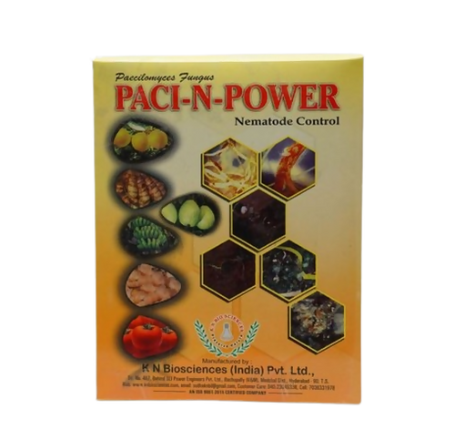 Paci_n_power_l_kg
