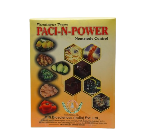 Paci_n_power_l_kg