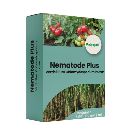 KATYAYANI NEMATODE PLUS | VERTICILLIUM CHLAMYDOSPORIUM 1% WP