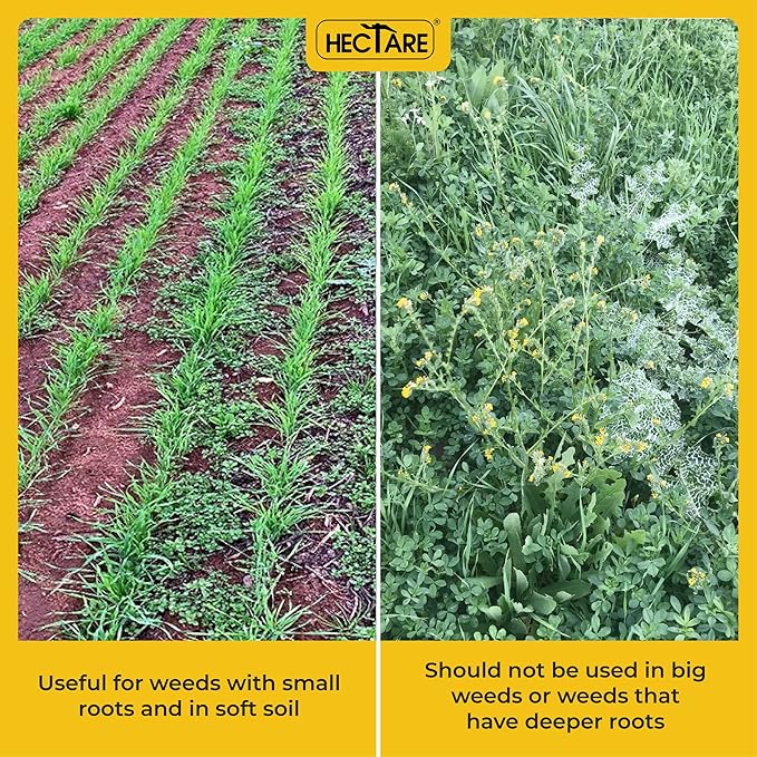 Hectare Jumbo Manual Weeder with 8 inch Blade Without Pole