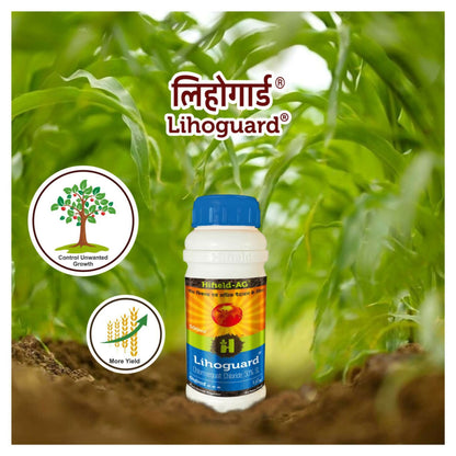 Hifield Lihoguard – Plant Growth Regulator (Chlormequat Chloride 50% SL) | For Control Unwanted Vegitative Growth