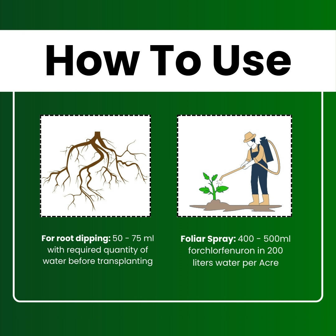 Katyayani CPPU | Forchlorfenuron 0.1 % L | Plant Growth Regulator