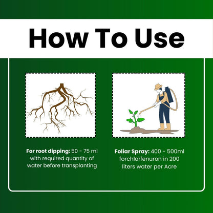Katyayani CPPU | Forchlorfenuron 0.1 % L | Plant Growth Regulator