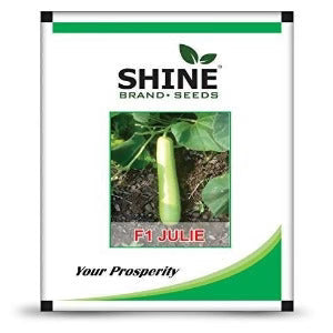 Shine seeds bottlegourd F1 julie