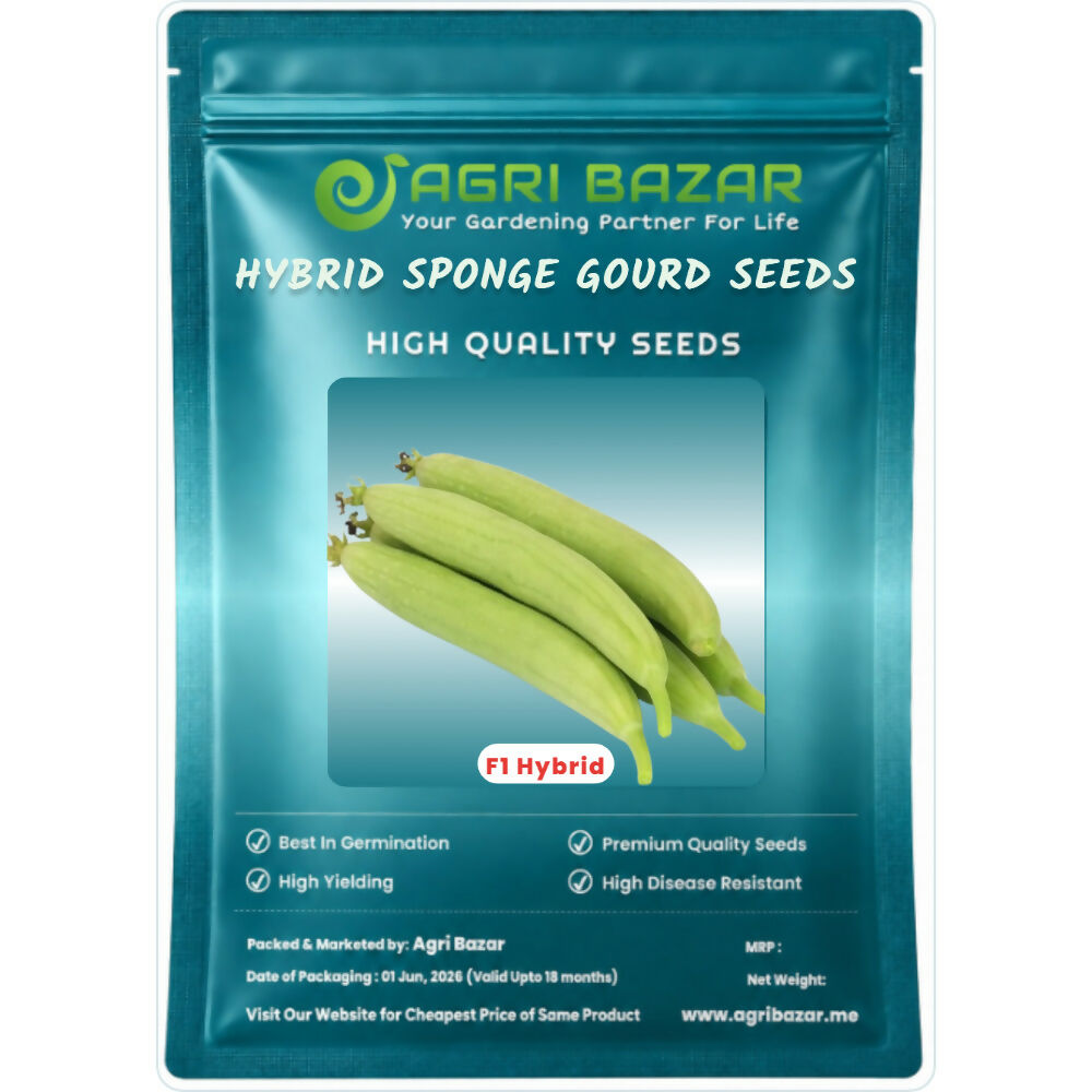 Agri Bazar 50+ F1 White Hybrid Sponge Gourd (Safed Torai) Seeds
