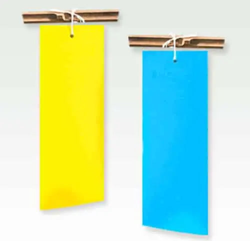 Sticky Trap (Pack of 10).