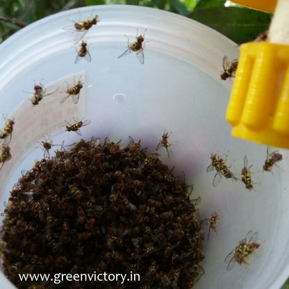 MELON FLY PHEROMONE & TRAP- ECONOMY