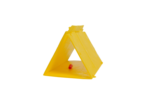 Delta Trap with Tuta Absoluta Lure