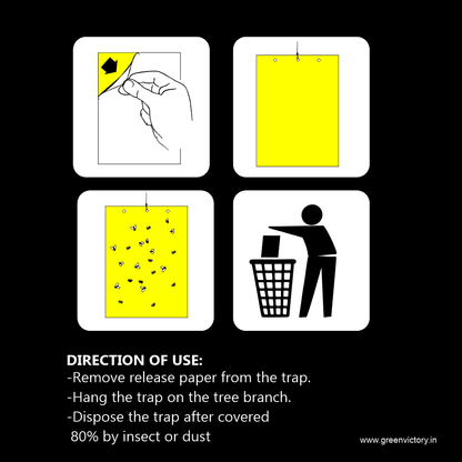 I-STICK ( GUM SHEET) SMALL: 24 cm (L) × 15 cm (B) × 0.3 cm (H)