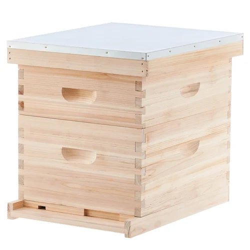 Apis Cerana Indica [ NON-STANDARD BOX ] - Khethari