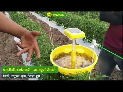 WAVAR Solar Light Traps