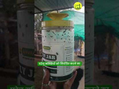 House fly trap with lure