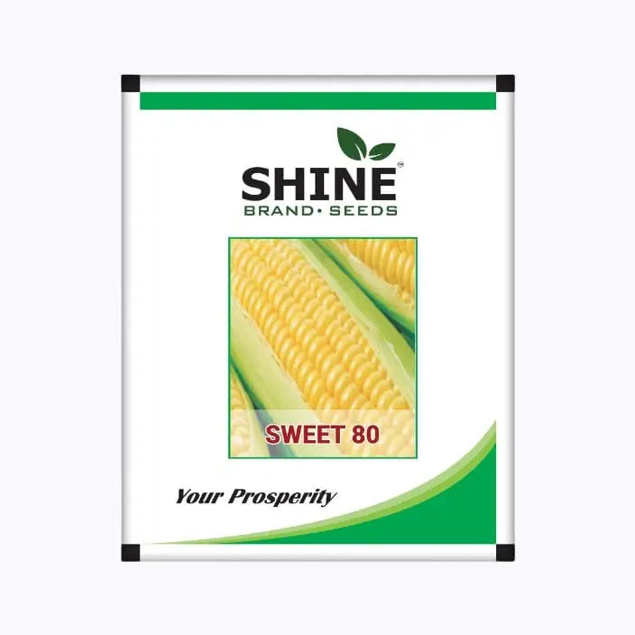 Shine Seeds Sweet Corn Sweet-80