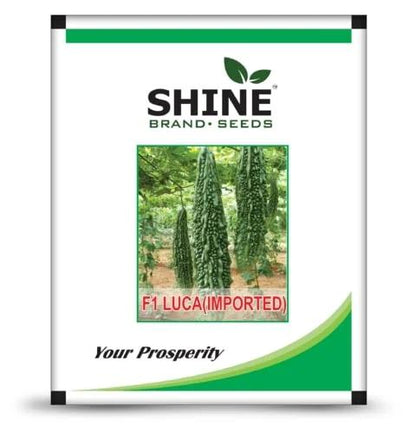 Shine seeds Bitter gourd F1 luca(Imported)