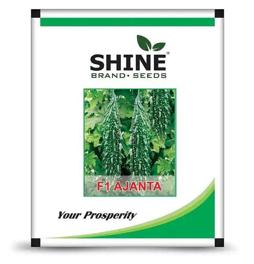 Shine Seeds Bitter gourd F1 Ajanta