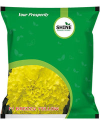 Shine Seeds Marigold F1 Brezza (Yellow)