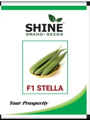 Shine Seeds Ridge Gourd F1 Stella