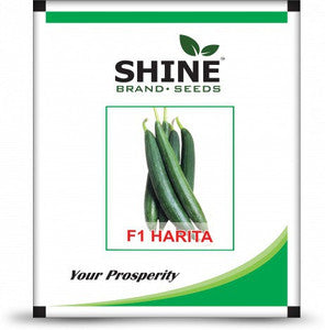 Shine Seeds Sponge Gourd F1 Harita