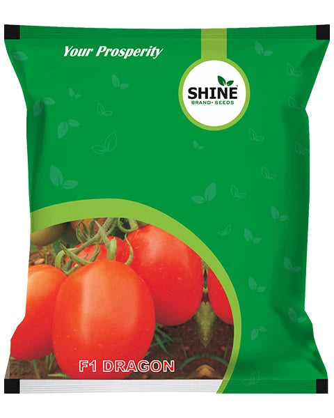 Shine Seeds Tomato F1 Dragon