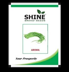 Shine Seeds YardLong Bean Aroma