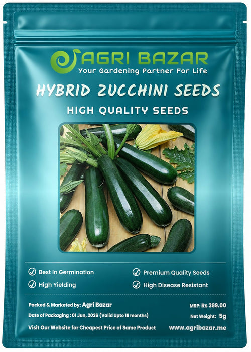 Hybrid Zucchini (Summer Squash) Seeds | High Germination & High Yield Vegetable Seeds for Home Gardening & Farming