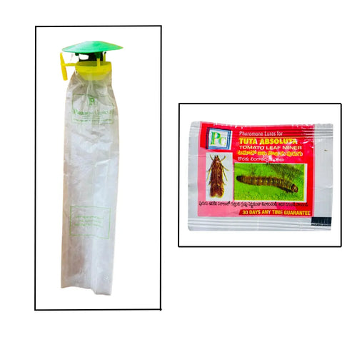 Pheromone Traps and Tuta absoluta lures (pack of 10 Traps and 10 Lures).