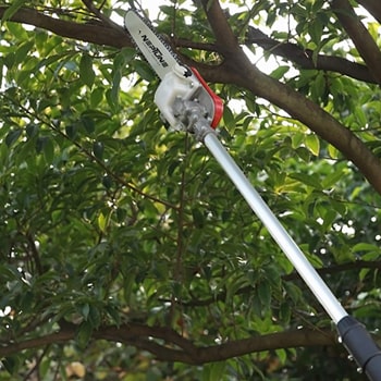 Neptune Pole pruner PP-786 with 43 CC 2 stroke engine, 3.6mtr telescopic - Khethari